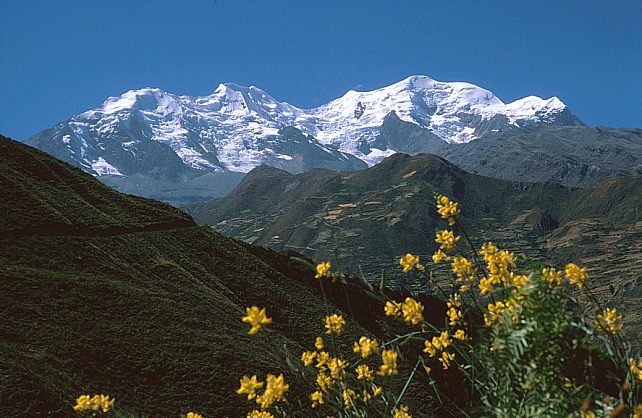 Illimani