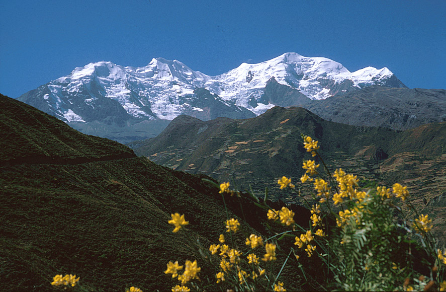 Illimani