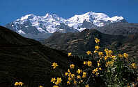 Illimani