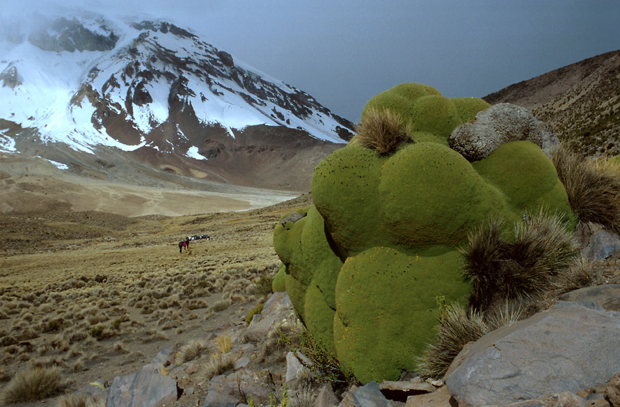 Sajama - Vor dem Basislager