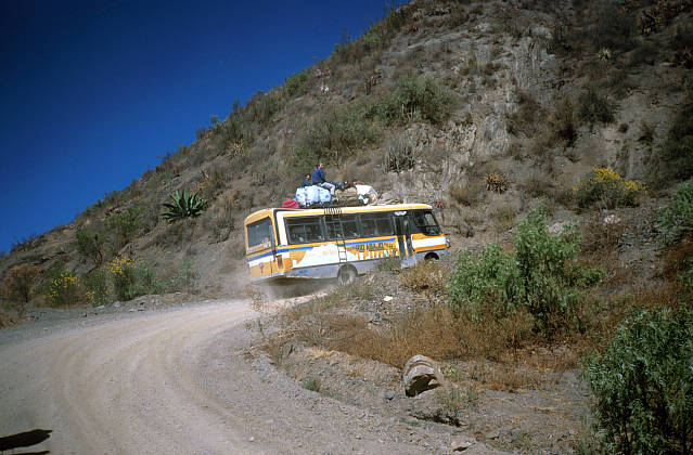 Der Linienbus